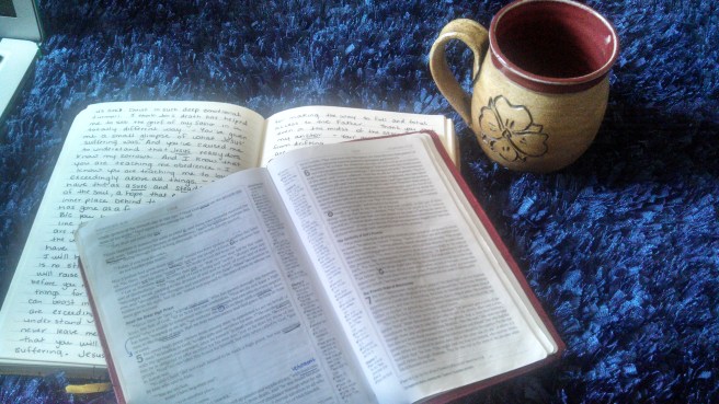 IMG_20130717_112154_853